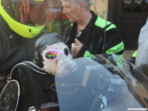 2019cr 231