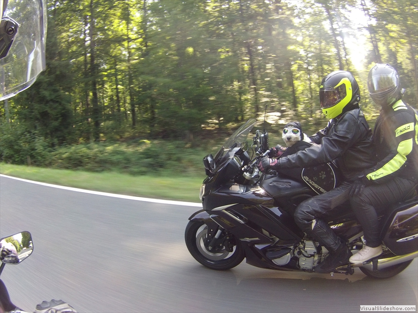 2019cr 282