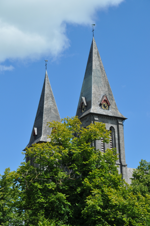 DSC 7424