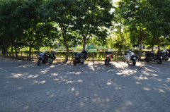 DSC 7662