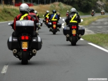 2004cr 101