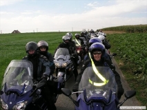 2004nr 42