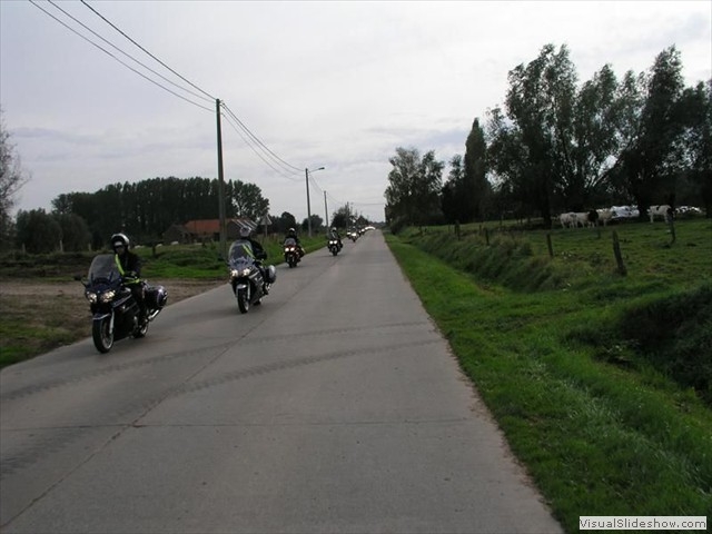2004nr 52