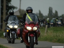 2004nr 55