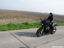2004or 11