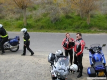 2004or 53