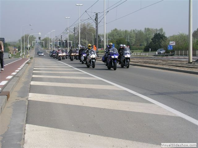 2004or 81