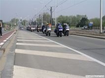 2004or 81