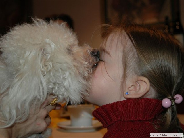 2004sint 039