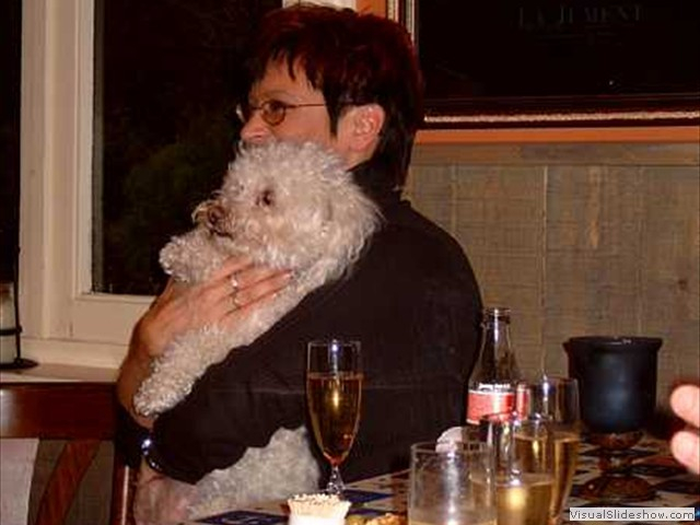 2004sv 12