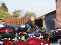 2008or 019