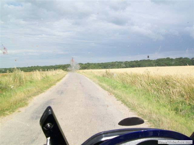 2009zr 109