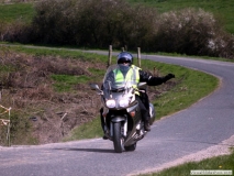 2010or 50